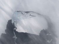 Un iceberg seis veces más grande que Manhattan se adentra en el Pacífico