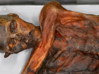 Ötzi, el ‘hombre de hielo’, tenía más de 60 tatuajes en la piel