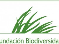 ¿En qué consiste el proyecto LIFE+INDEMARES de la Fundacion Biodiversidad?