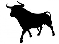 La ley prohíbe matar en público al toro de la Vega