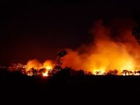 Una oleada de incendios arrasa Galicia