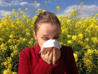 Aumentan los casos de alergias en otoño
