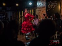 Espectáculo de flamenco Jardines de Zoraya en Granada
