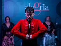 Flamenco en Málaga con restaurante | Tablao Alegría